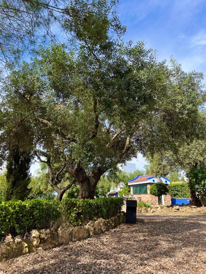 Complejo Rural Mirador De La Alcaidia Villa Hornachuelos Dış mekan fotoğraf