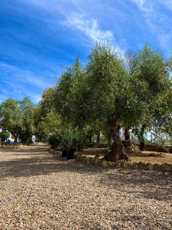 Complejo Rural Mirador De La Alcaidia Villa Hornachuelos Dış mekan fotoğraf