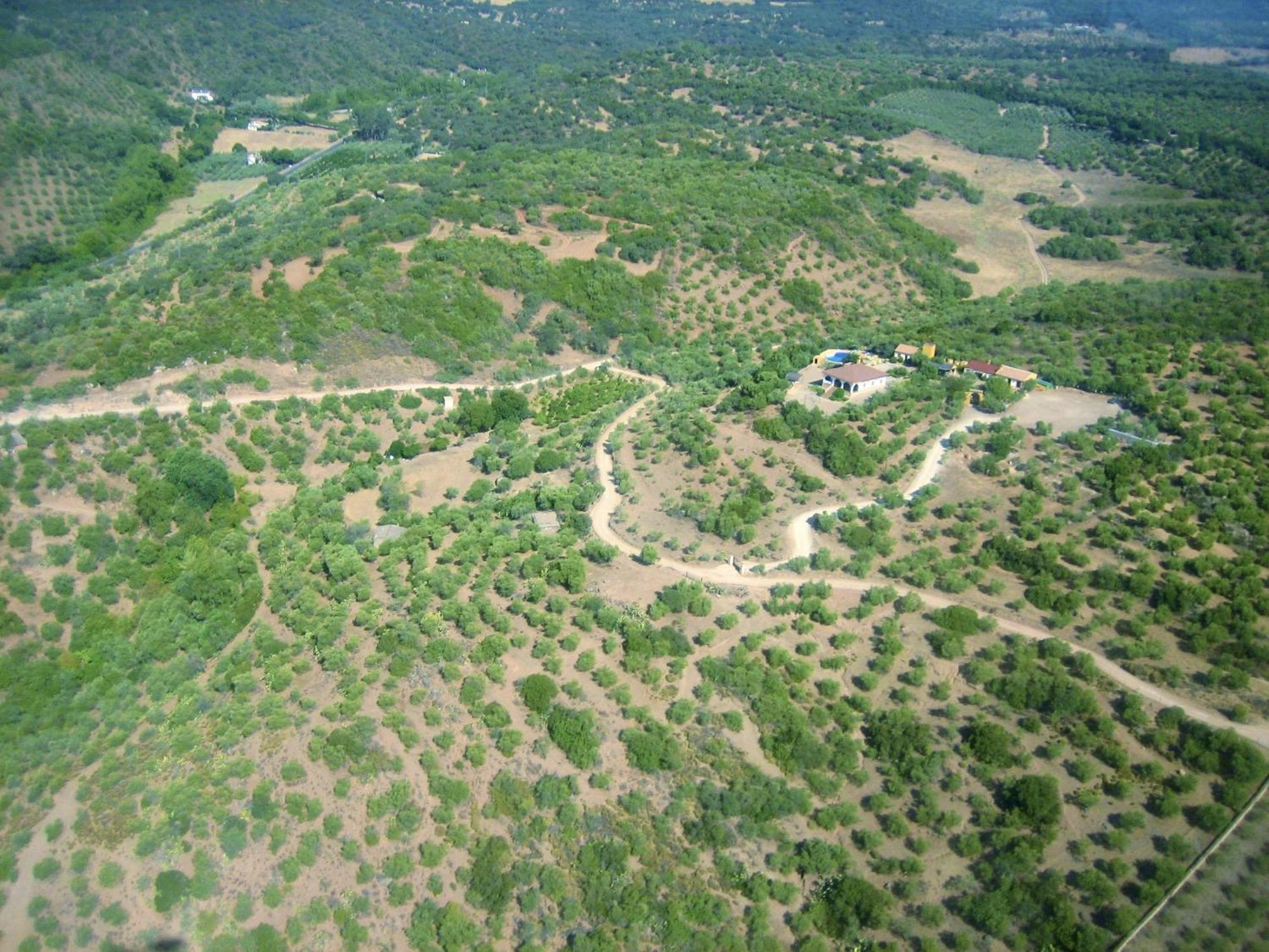 Complejo Rural Mirador De La Alcaidia Villa Hornachuelos Dış mekan fotoğraf