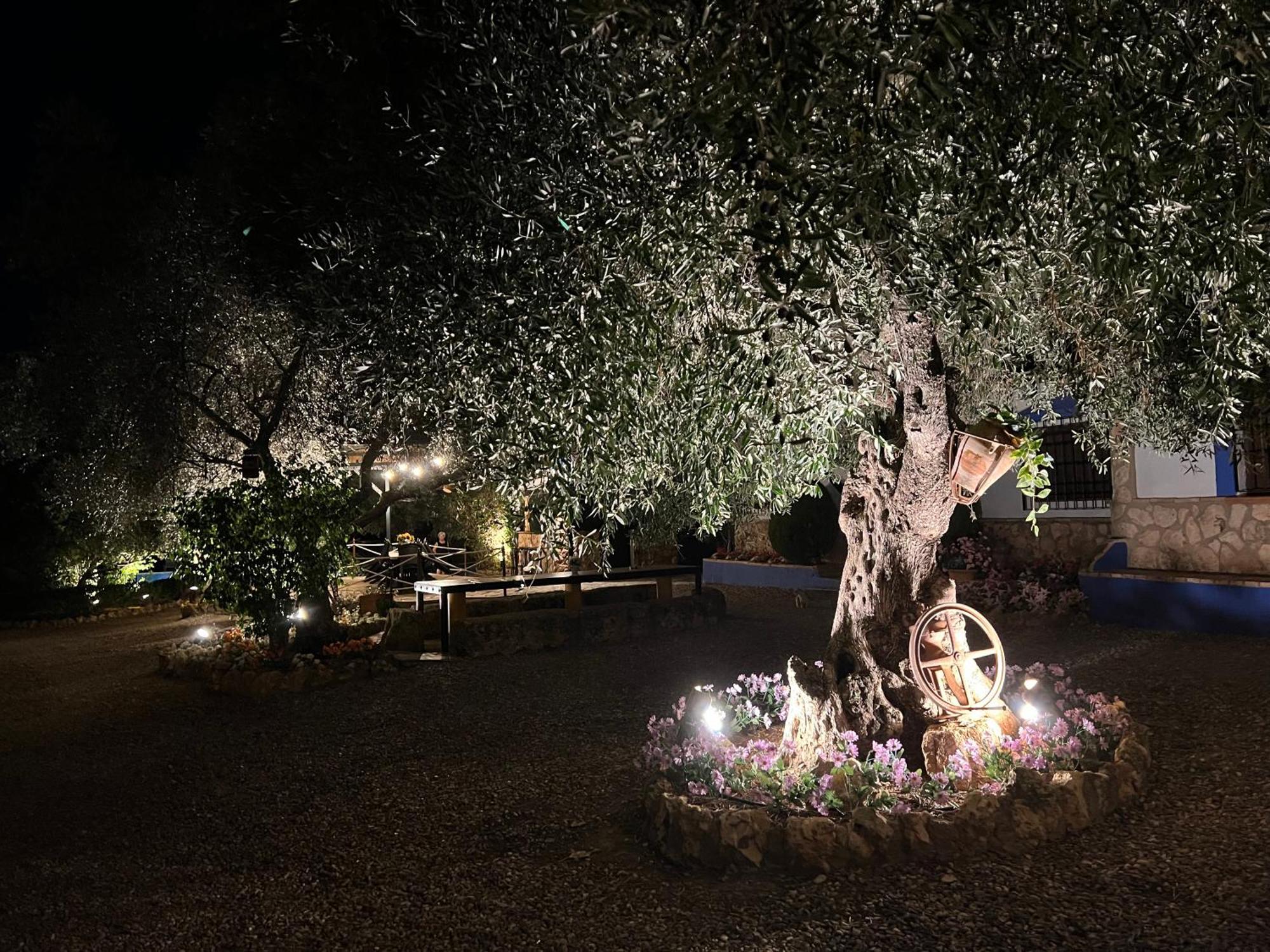 Complejo Rural Mirador De La Alcaidia Villa Hornachuelos Dış mekan fotoğraf